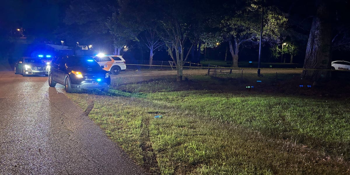 Two people taken to the hospital after park shooting