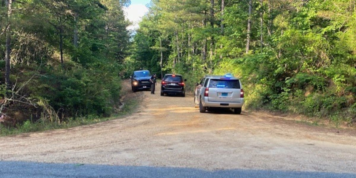 Pilots safely eject from military aircraft after ‘mishap’ on Lamar, Fayette County line