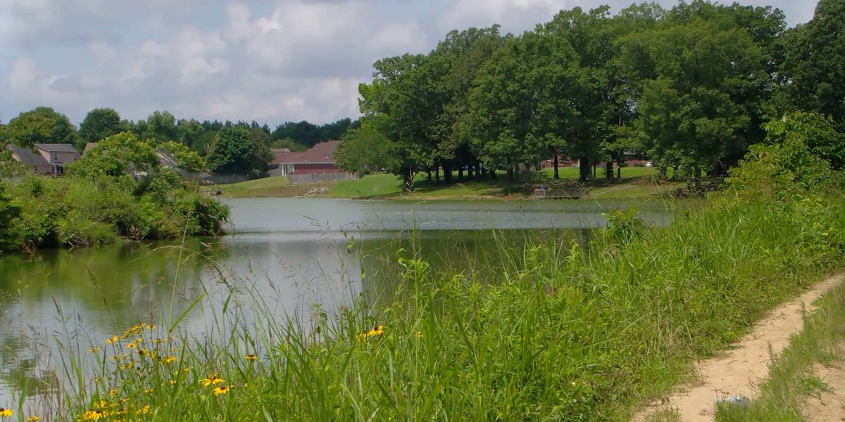 ‘Absolutely terrible:’13-year-old dies after drowning in neighborhood lake, DeSoto Co. sheriff says
