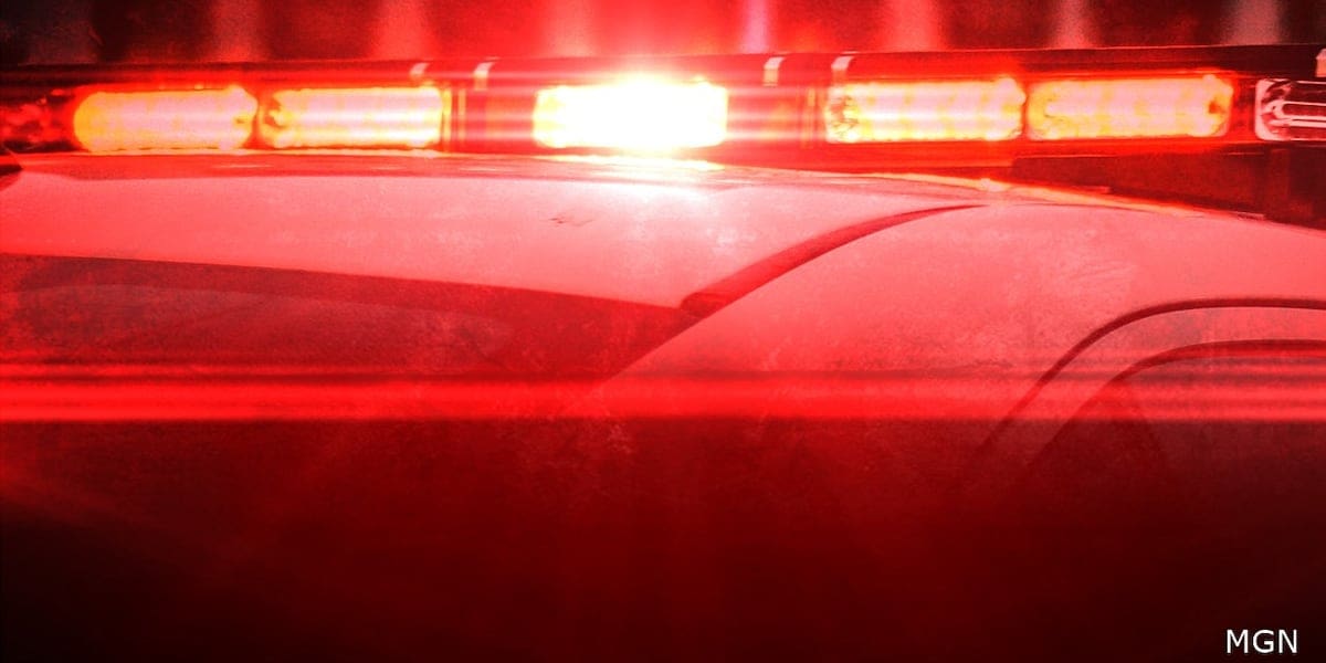 Teen drowns in Petal lake Sunday night
