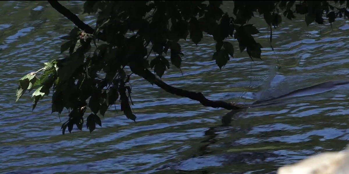 Anchor Lake Dam at risk of failing in Pearl River County, officials say