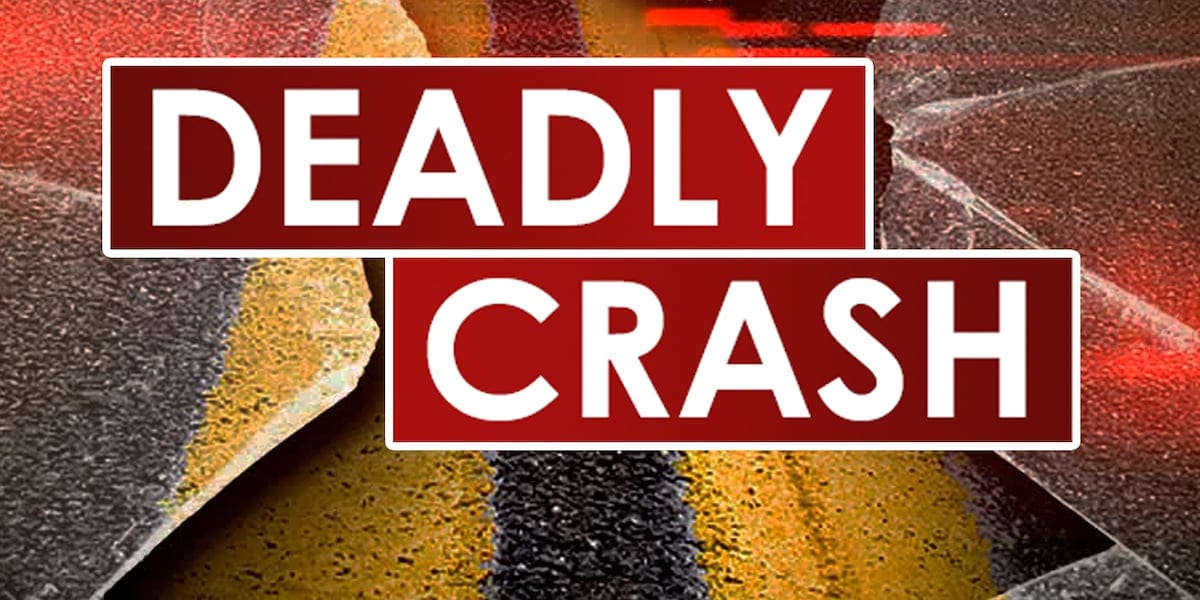 One dead after single-vehicle crash on Highway 481