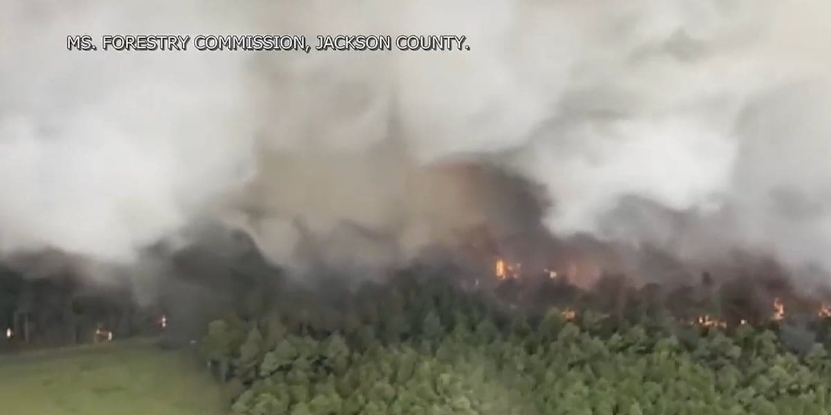 Burn bans issued in 10 Mississippi counties amid hot, dry weather